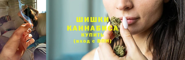 ПСИЛОЦИБИНОВЫЕ ГРИБЫ Белоозёрский