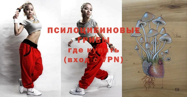 ПСИЛОЦИБИНОВЫЕ ГРИБЫ Белоозёрский
