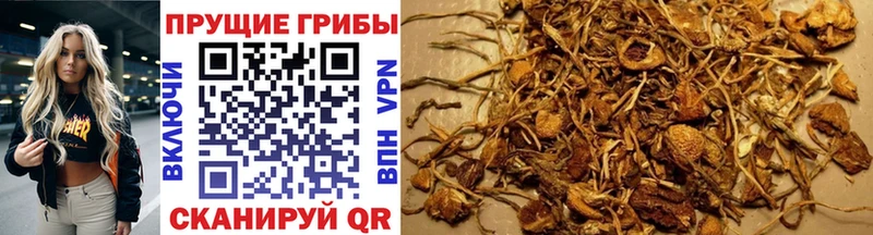 Псилоцибиновые грибы Magic Shrooms  Кологрив 